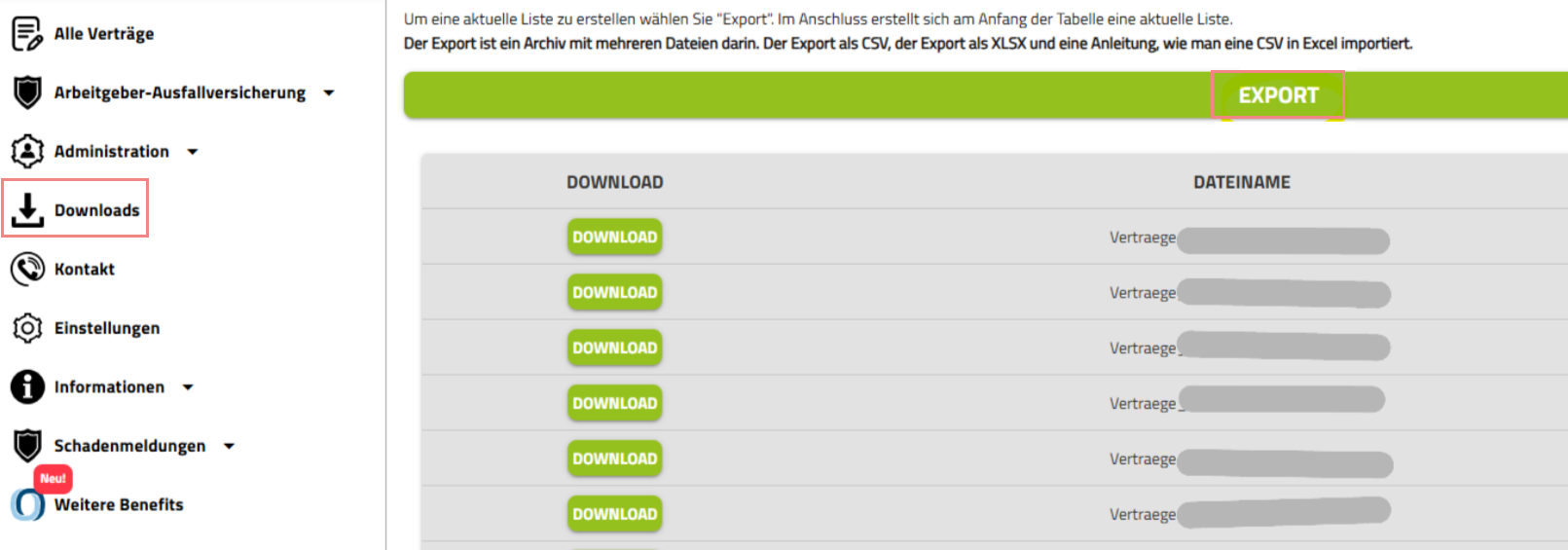 LohndatenExport Bikeleasing.png